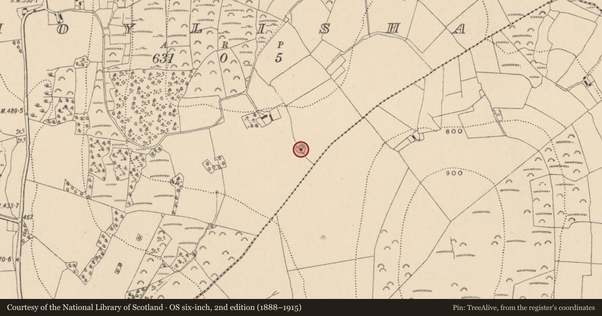 Ordnance Survey six-inch map, 2nd edition (1888–1915) covering the location of Ringfort - rath, Moylisha, County Wicklow, with a pin at the register's coordinates
