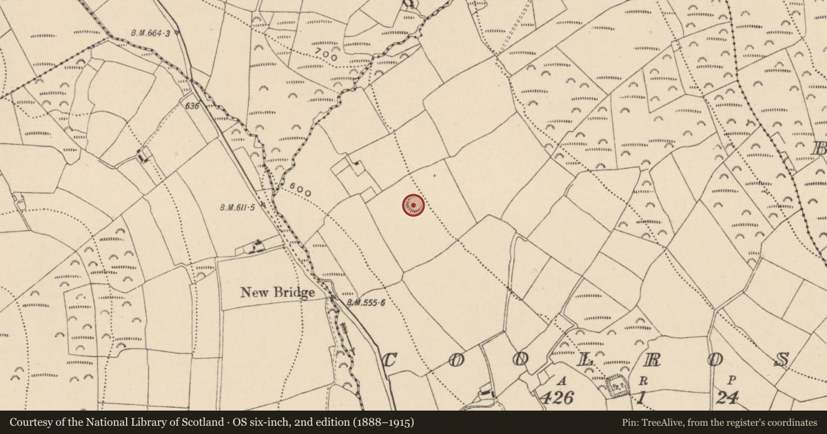 Ordnance Survey six-inch map, 2nd edition (1888–1915) covering the location of Ringfort - rath, Coolross, County Wicklow, with a pin at the register's coordinates