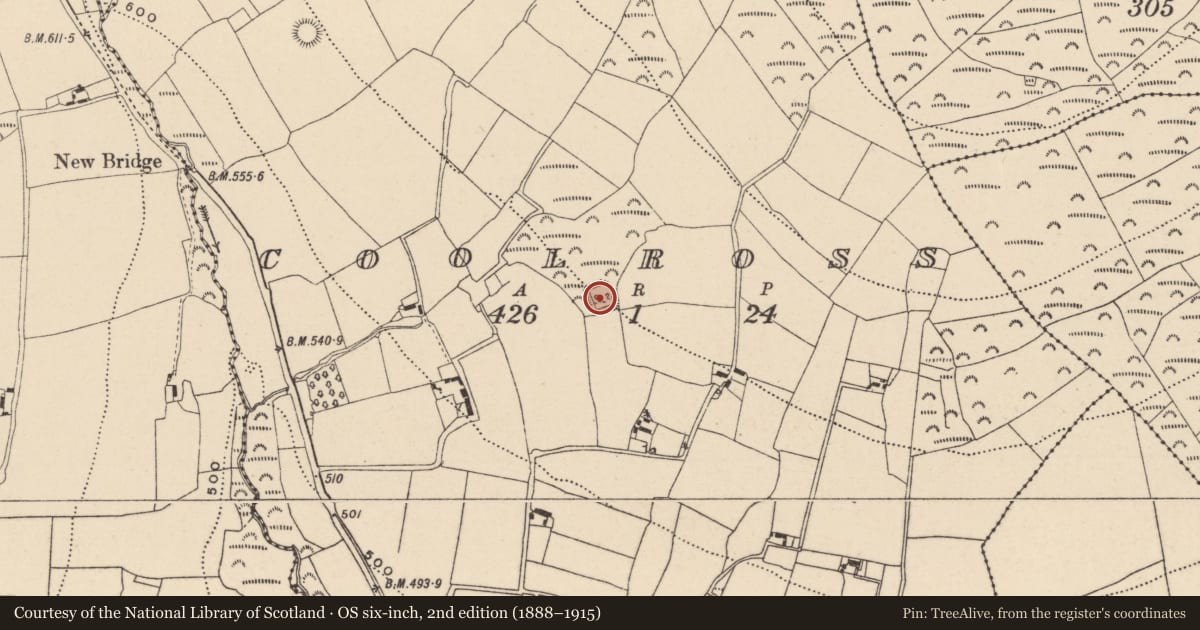 Ordnance Survey six-inch map, 2nd edition (1888–1915) covering the location of Moated site, Coolross, County Wicklow, with a pin at the register's coordinates