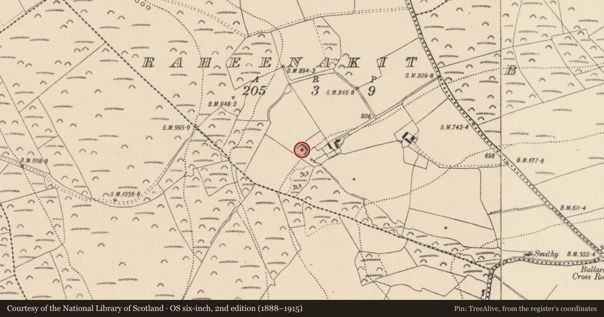 Ordnance Survey six-inch map, 2nd edition (1888–1915) covering the location of Ringfort - rath, Raheenakit, County Wicklow, with a pin at the register's coordinates