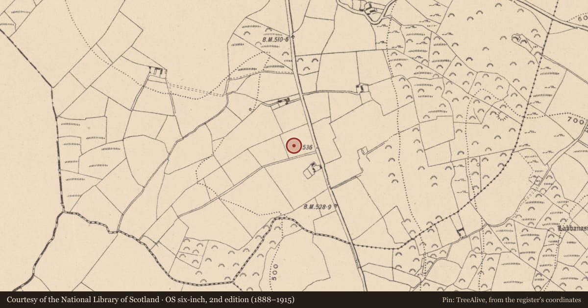 Ordnance Survey six-inch map, 2nd edition (1888–1915) covering the location of Cist, Money Upper, County Wicklow, with a pin at the register's coordinates