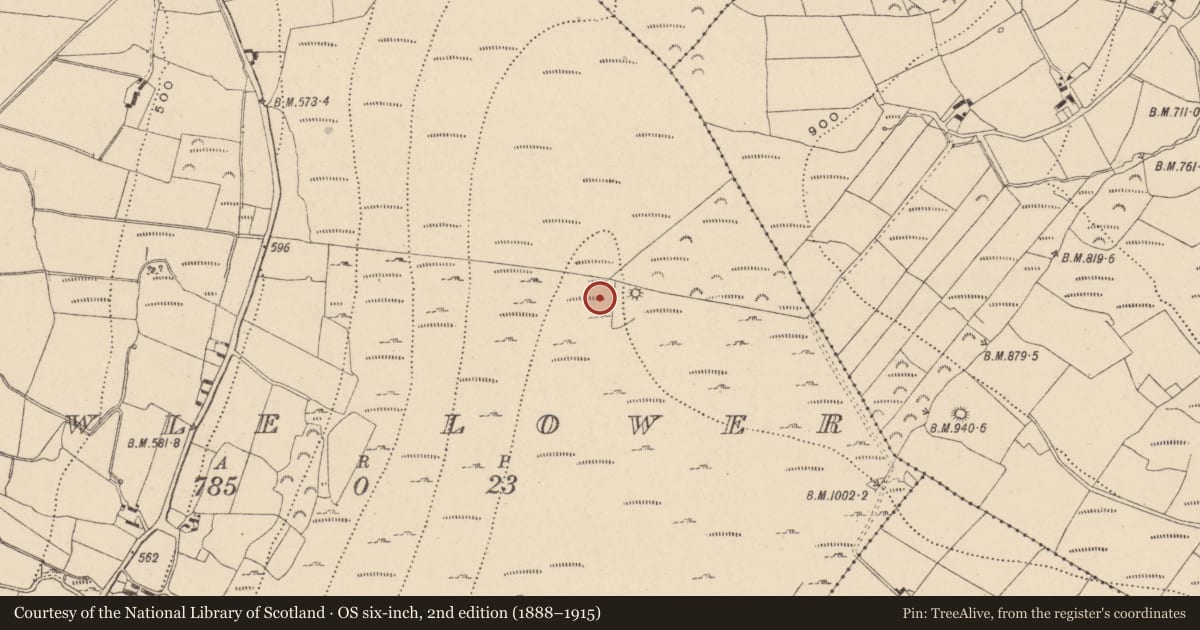 Ordnance Survey six-inch map, 2nd edition (1888–1915) covering the location of Enclosure, Aghowle Lower, County Wicklow, with a pin at the register's coordinates