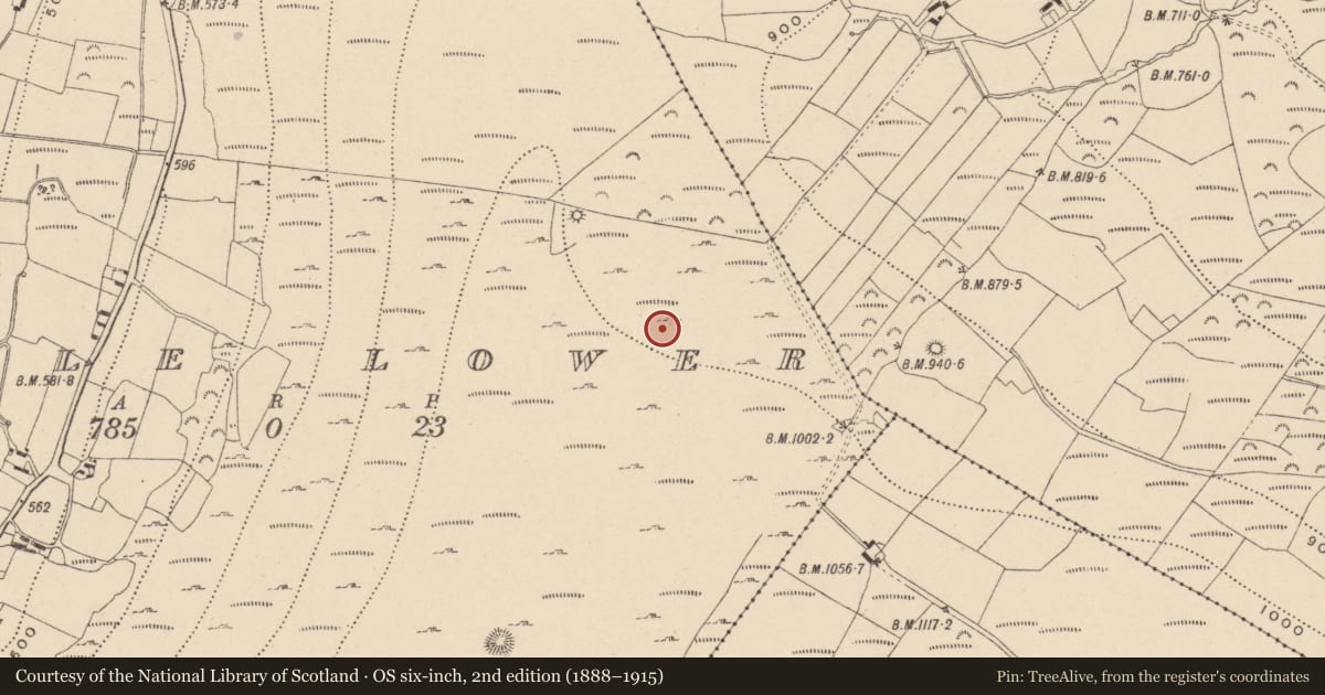 Ordnance Survey six-inch map, 2nd edition (1888–1915) covering the location of Field system, Aghowle Lower, County Wicklow, with a pin at the register's coordinates
