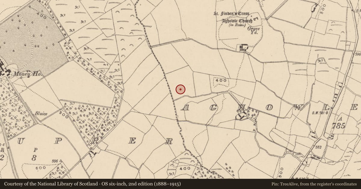 Ordnance Survey six-inch map, 2nd edition (1888–1915) covering the location of Mill - corn, Aghowle Lower, County Wicklow, with a pin at the register's coordinates
