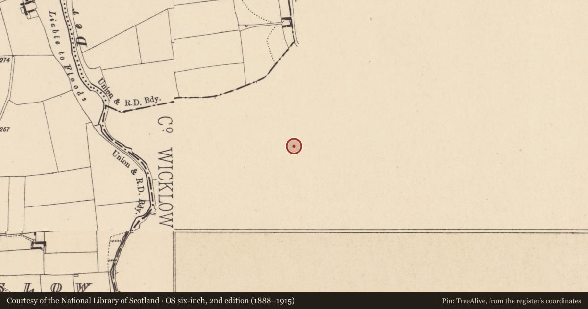 Ordnance Survey six-inch map, 2nd edition (1888–1915) covering the location of Moated site, Ardoyne, County Wicklow, with a pin at the register's coordinates