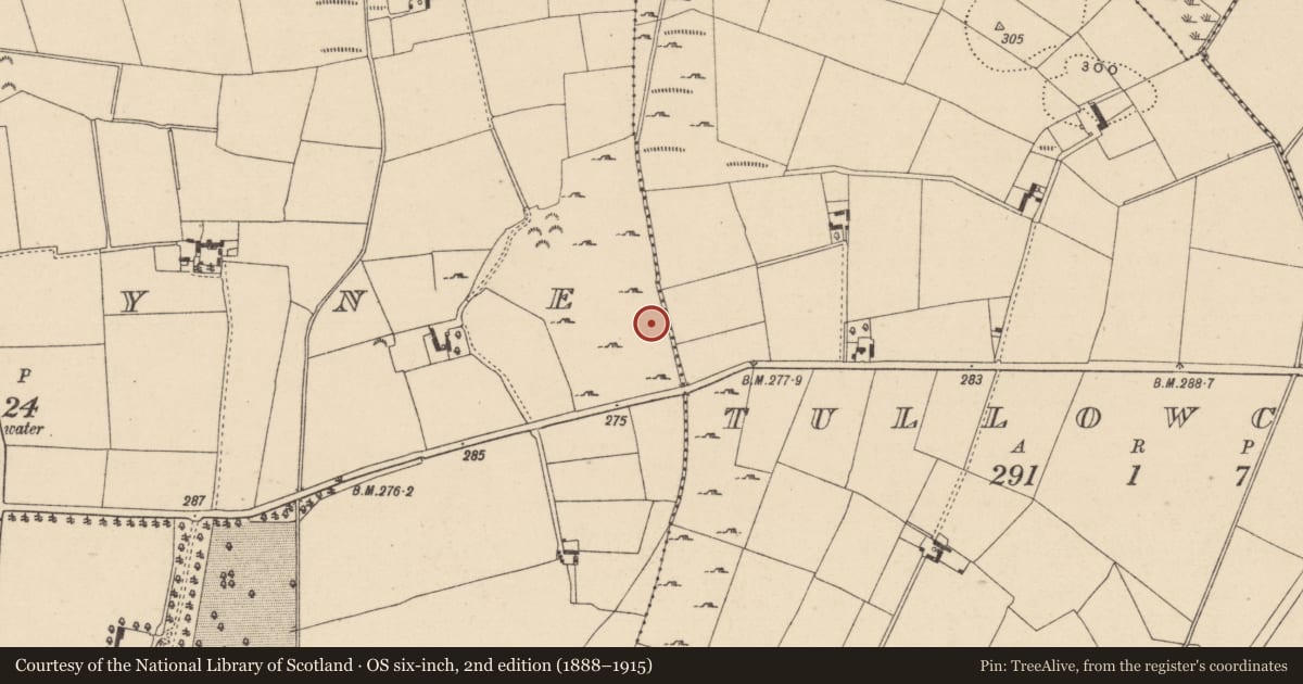 Ordnance Survey six-inch map, 2nd edition (1888–1915) covering the location of Enclosure, Ardoyne, County Wicklow, with a pin at the register's coordinates
