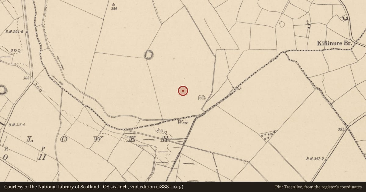 Ordnance Survey six-inch map, 2nd edition (1888–1915) covering the location of Enclosure, Killinure, County Wicklow, with a pin at the register's coordinates