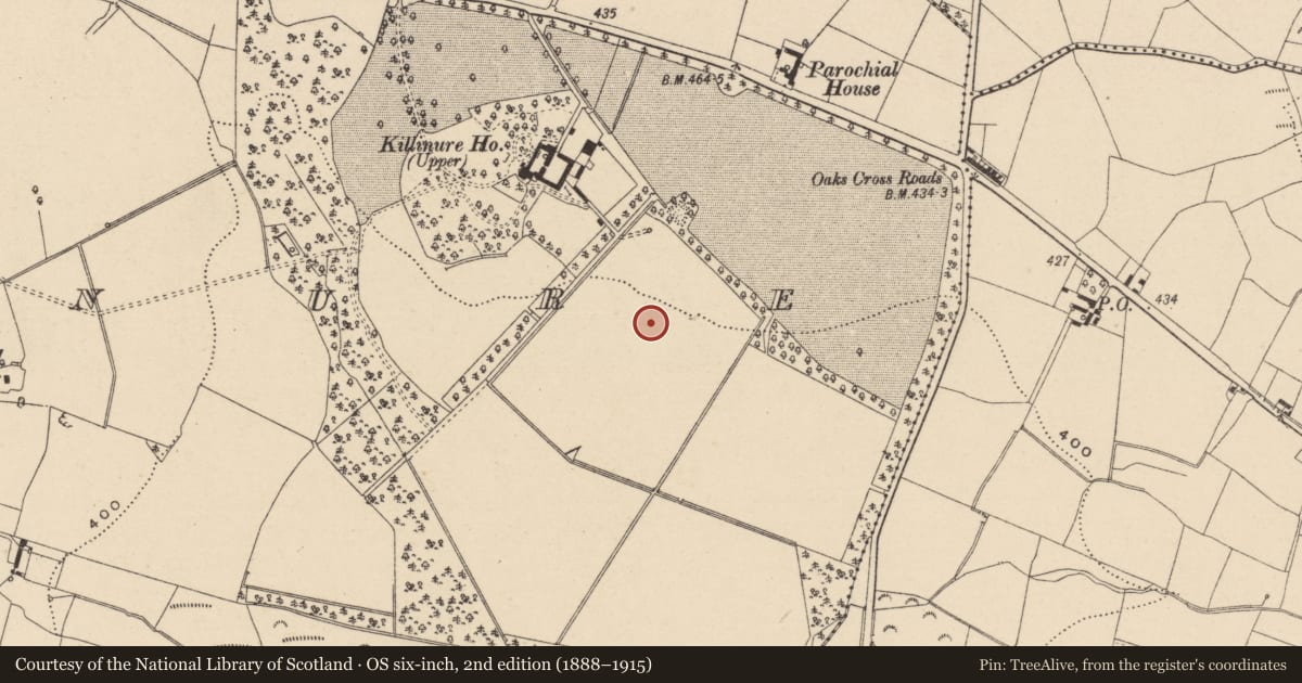 Ordnance Survey six-inch map, 2nd edition (1888–1915) covering the location of Enclosure, Killinure, County Wicklow, with a pin at the register's coordinates