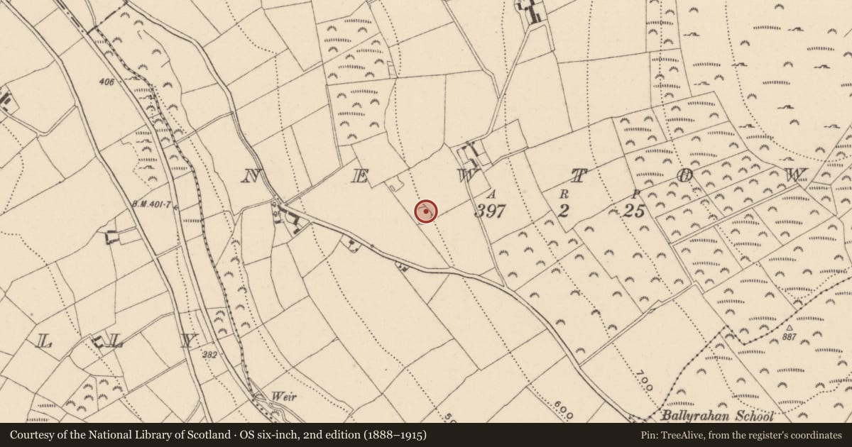 Ordnance Survey six-inch map, 2nd edition (1888–1915) covering the location of Enclosure, Newtown, County Wicklow, with a pin at the register's coordinates