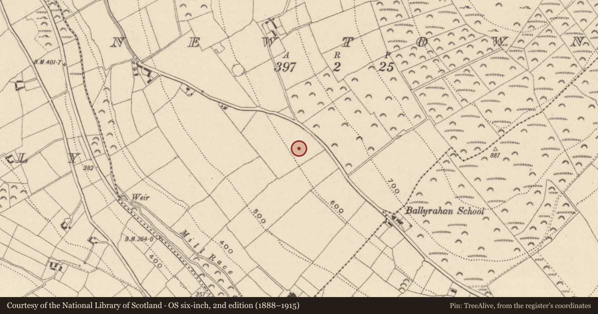 Ordnance Survey six-inch map, 2nd edition (1888–1915) covering the location of Enclosure, Newtown, County Wicklow, with a pin at the register's coordinates
