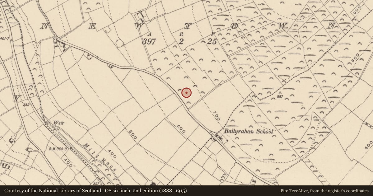 Ordnance Survey six-inch map, 2nd edition (1888–1915) covering the location of Enclosure, Newtown, County Wicklow, with a pin at the register's coordinates