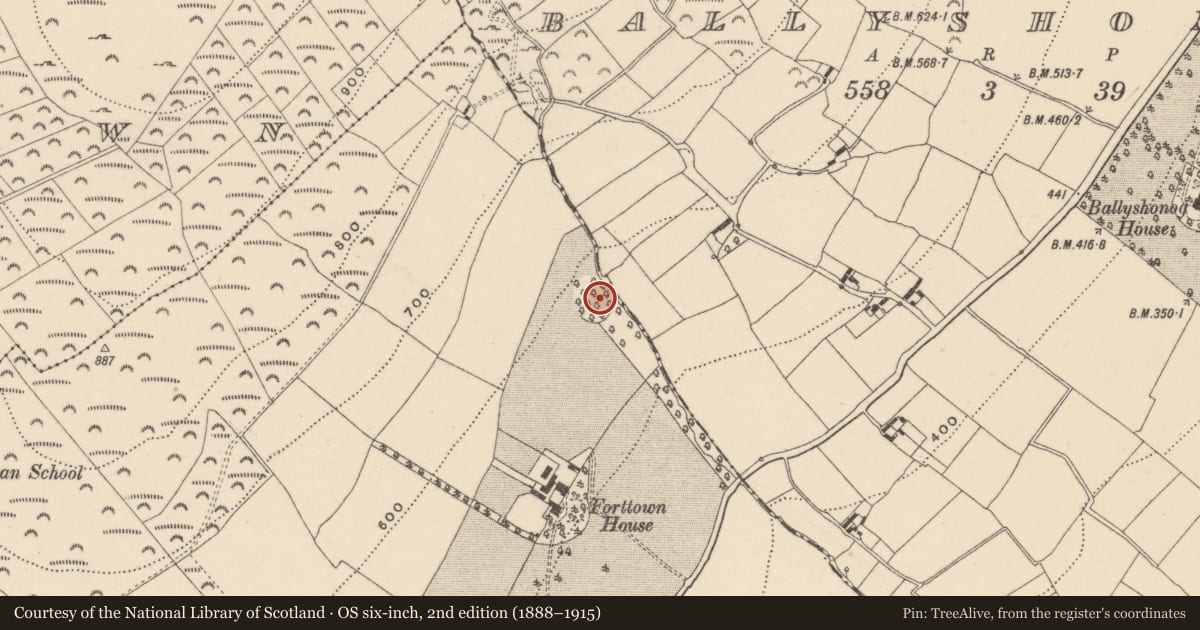 Ordnance Survey six-inch map, 2nd edition (1888–1915) covering the location of Enclosure, Ballyraheen, County Wicklow, with a pin at the register's coordinates