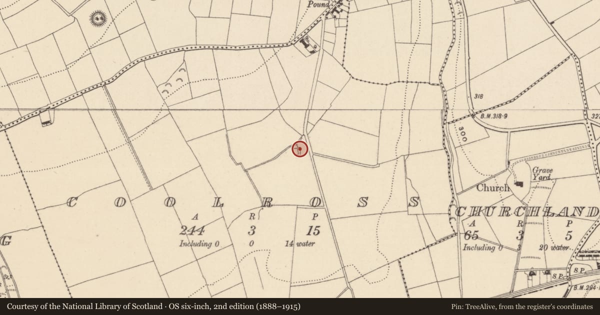 Ordnance Survey six-inch map, 2nd edition (1888–1915) covering the location of House - 16th/17th century, Coolross, County Wicklow, with a pin at the register's coordinates