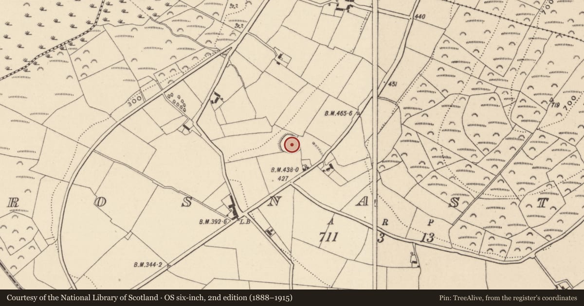 Ordnance Survey six-inch map, 2nd edition (1888–1915) covering the location of Ringfort - rath, Rosnastraw, County Wicklow, with a pin at the register's coordinates