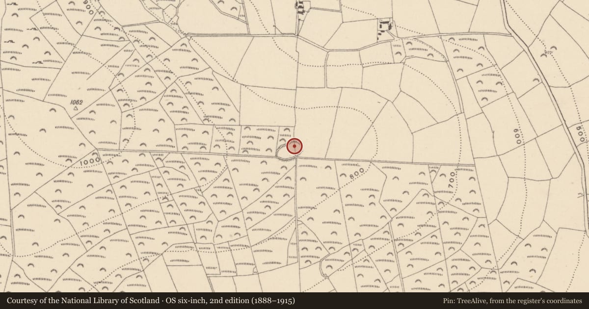 Ordnance Survey six-inch map, 2nd edition (1888–1915) covering the location of Ringfort - rath, Ballynultagh, County Wicklow, with a pin at the register's coordinates