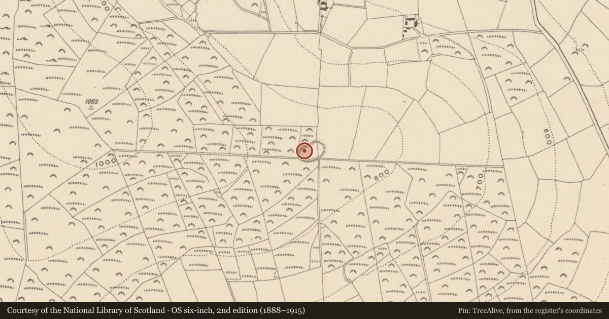 Ordnance Survey six-inch map, 2nd edition (1888–1915) covering the location of Enclosure, Ballynultagh, County Wicklow, with a pin at the register's coordinates