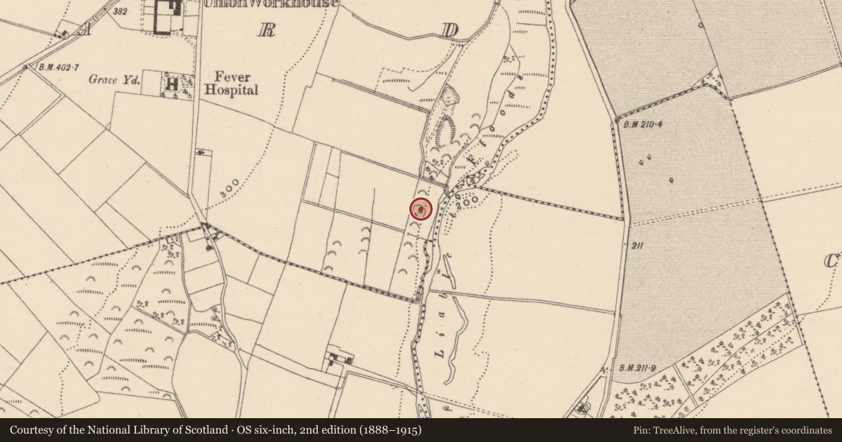 Ordnance Survey six-inch map, 2nd edition (1888–1915) covering the location of Mound, Ballard, County Wicklow, with a pin at the register's coordinates