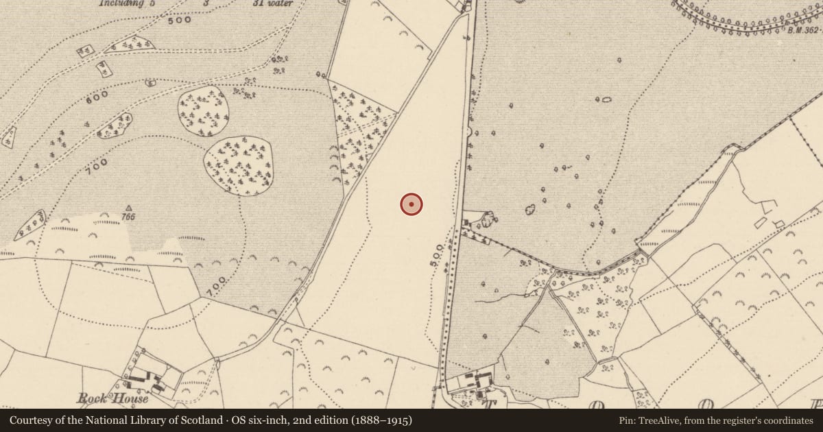 Ordnance Survey six-inch map, 2nd edition (1888–1915) covering the location of Enclosure, Coolattin, County Wicklow, with a pin at the register's coordinates