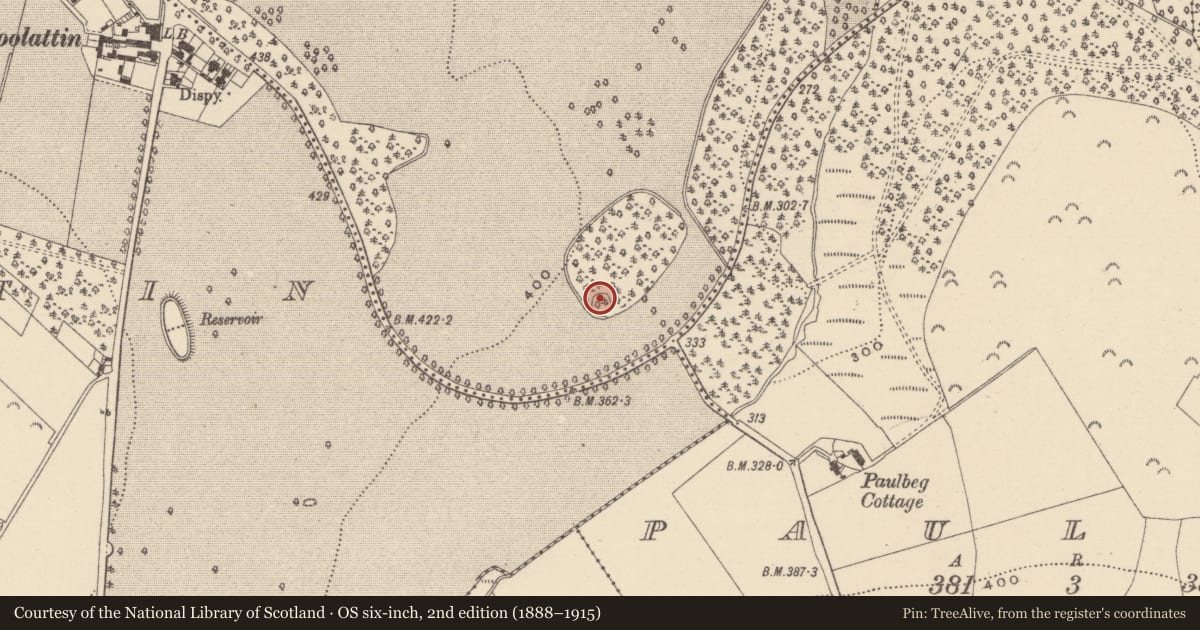Ordnance Survey six-inch map, 2nd edition (1888–1915) covering the location of Ringfort - rath, Coolattin Park, County Wicklow, with a pin at the register's coordinates