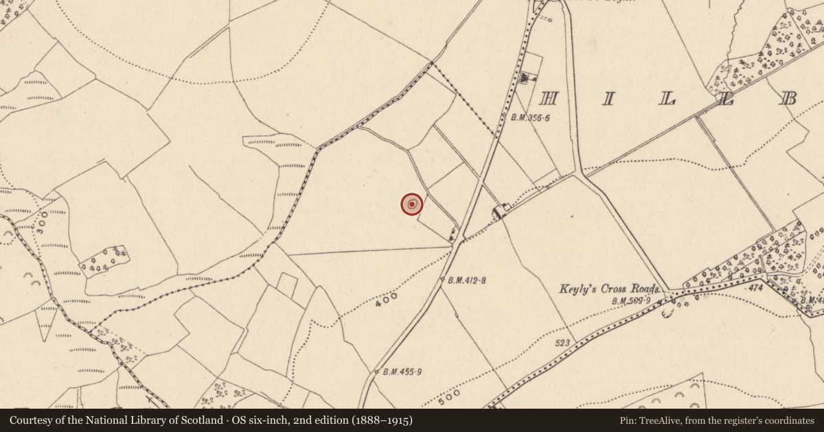 Ordnance Survey six-inch map, 2nd edition (1888–1915) covering the location of Enclosure, Hillbrook Lower, County Wicklow, with a pin at the register's coordinates