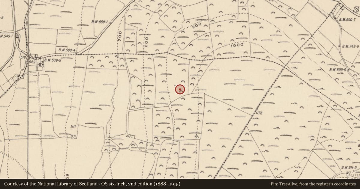 Ordnance Survey six-inch map, 2nd edition (1888–1915) covering the location of Hut site, Ballymarroge, County Wicklow, with a pin at the register's coordinates