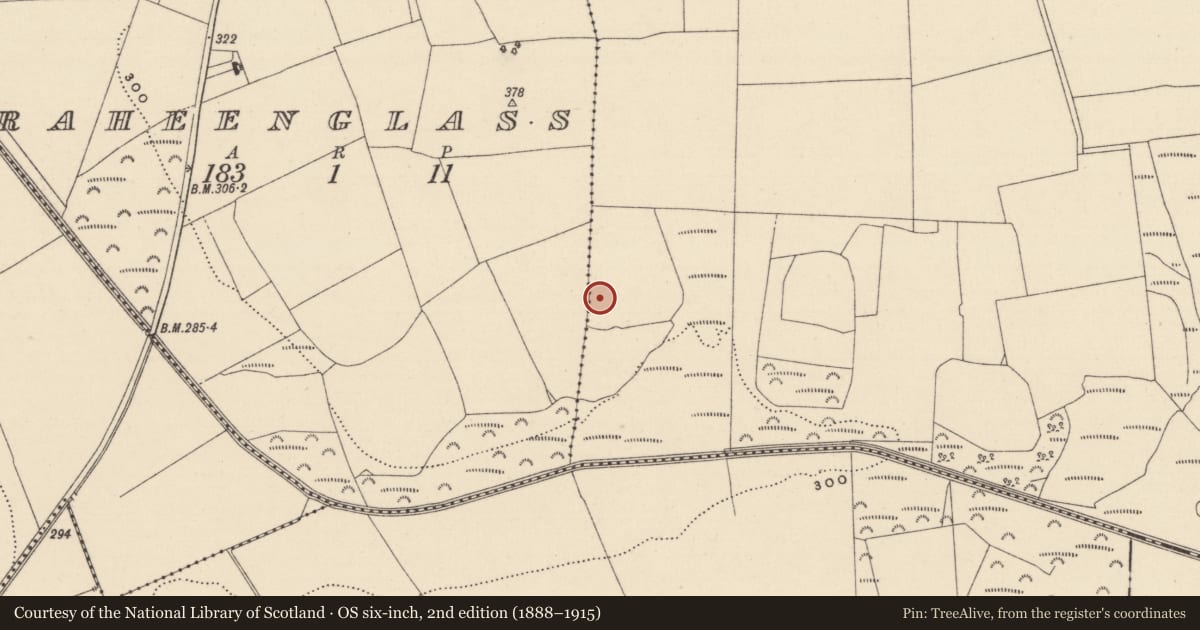 Ordnance Survey six-inch map, 2nd edition (1888–1915) covering the location of Enclosure, Coolafancy, Raheenglass, County Wicklow, with a pin at the register's coordinates