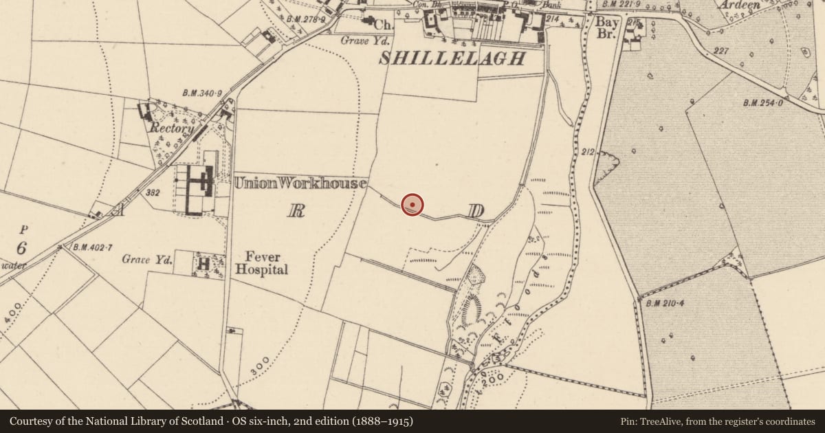 Ordnance Survey six-inch map, 2nd edition (1888–1915) covering the location of Enclosure - large enclosure, Ballard, County Wicklow, with a pin at the register's coordinates