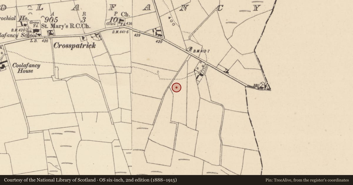 Ordnance Survey six-inch map, 2nd edition (1888–1915) covering the location of Enclosure, Coolafancy, County Wicklow, with a pin at the register's coordinates