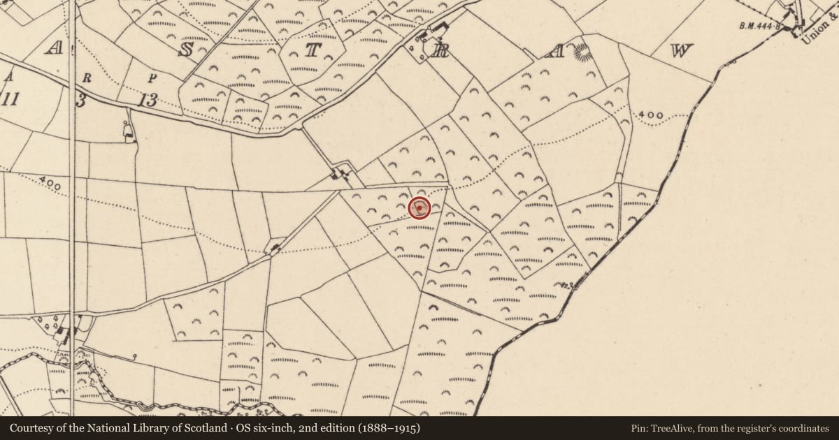 Ordnance Survey six-inch map, 2nd edition (1888–1915) covering the location of Enclosure, Rosnastraw, County Wicklow, with a pin at the register's coordinates