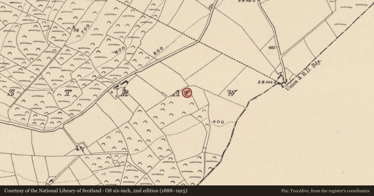 Ordnance Survey six-inch map, 2nd edition (1888–1915) covering the location of Ringfort - rath, Rosnastraw, County Wicklow, with a pin at the register's coordinates
