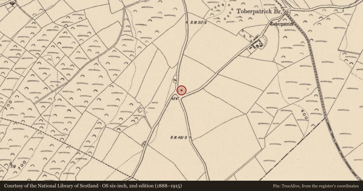 Ordnance Survey six-inch map, 2nd edition (1888–1915) covering the location of Enclosure, Killaveny, County Wicklow, with a pin at the register's coordinates