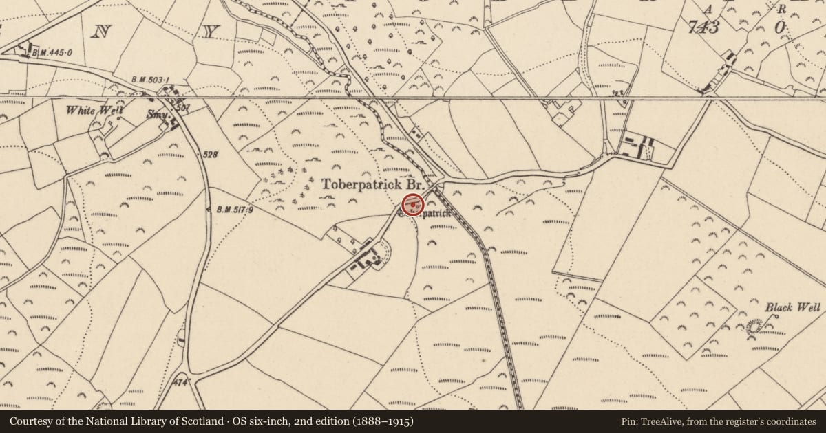 Ordnance Survey six-inch map, 2nd edition (1888–1915) covering the location of Ritual site - holy well, Killaveny, County Wicklow, with a pin at the register's coordinates