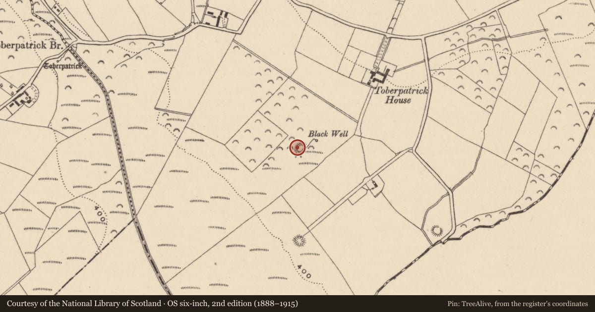 Ordnance Survey six-inch map, 2nd edition (1888–1915) covering the location of Enclosure, Toberpatrick, County Wicklow, with a pin at the register's coordinates