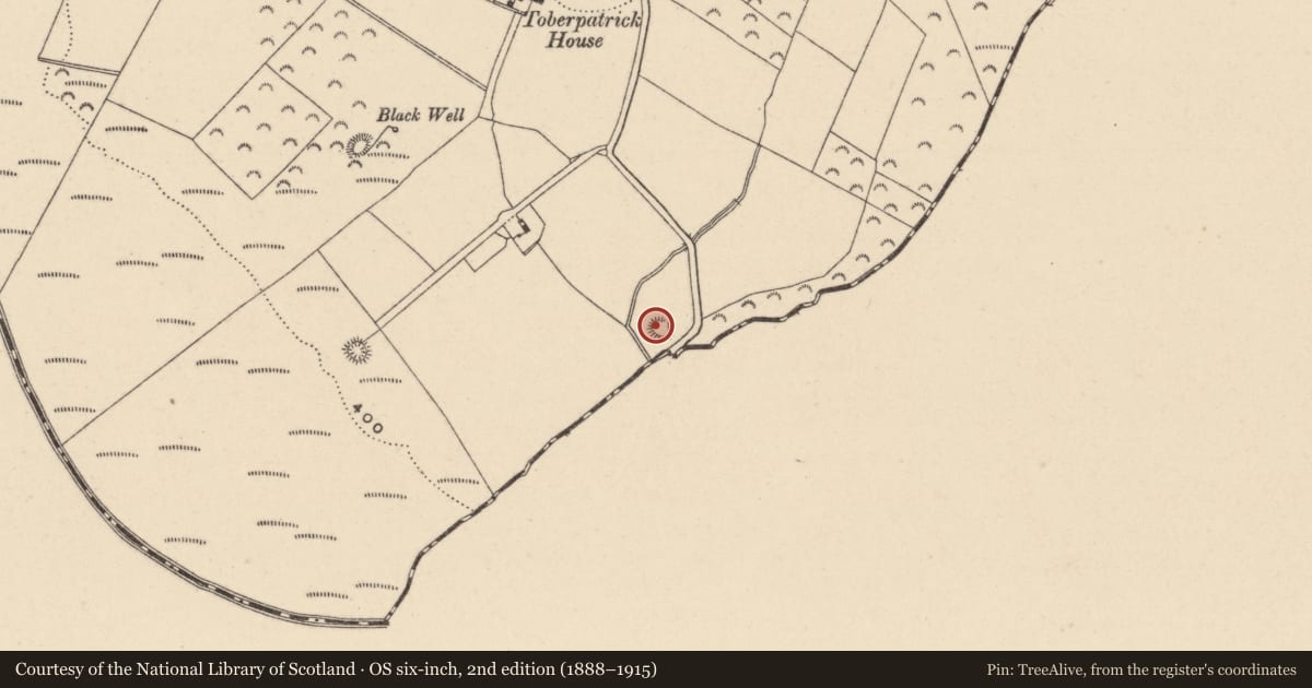Ordnance Survey six-inch map, 2nd edition (1888–1915) covering the location of Enclosure, Toberpatrick, County Wicklow, with a pin at the register's coordinates
