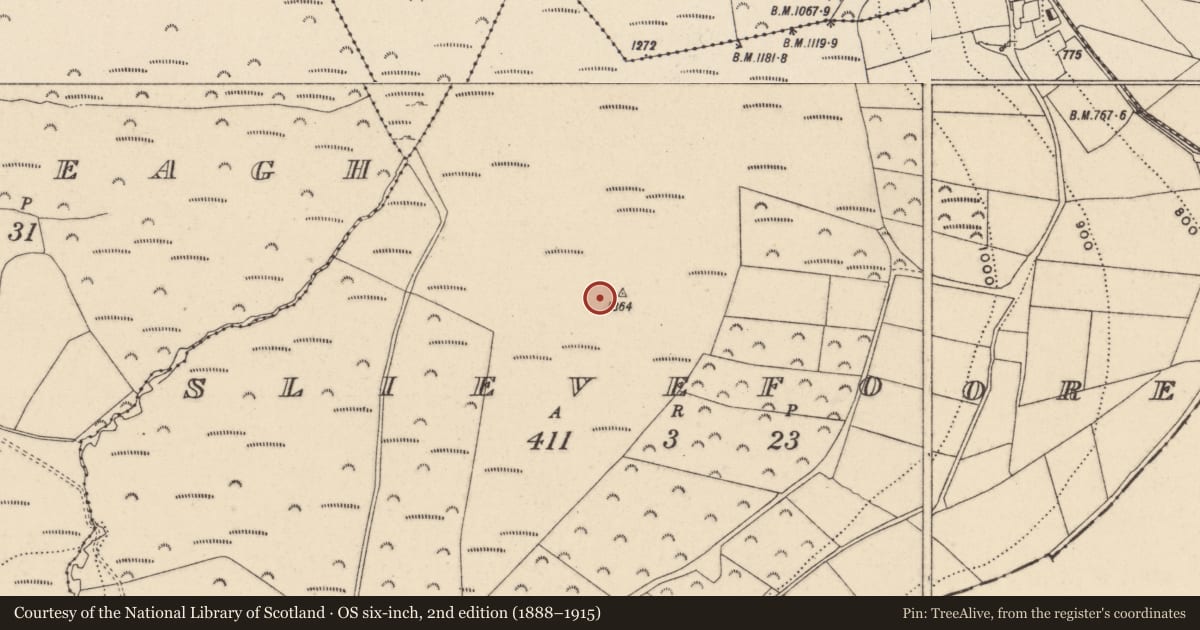 Ordnance Survey six-inch map, 2nd edition (1888–1915) covering the location of Cairn - unclassified, Slievefoore, County Wicklow, with a pin at the register's coordinates