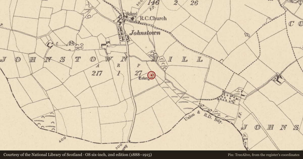 Ordnance Survey six-inch map, 2nd edition (1888–1915) covering the location of Ritual site - holy well, Johnstown Hill, County Wicklow, with a pin at the register's coordinates