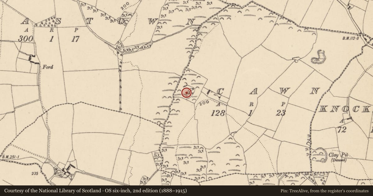 Ordnance Survey six-inch map, 2nd edition (1888–1915) covering the location of Ringfort - rath, Ecawn, County Wicklow, with a pin at the register's coordinates