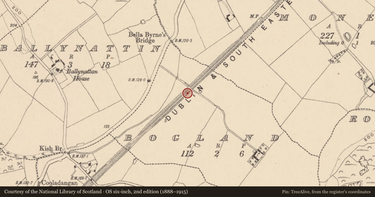 Ordnance Survey six-inch map, 2nd edition (1888–1915) covering the location of Graveyard, Bogland, County Wicklow, with a pin at the register's coordinates