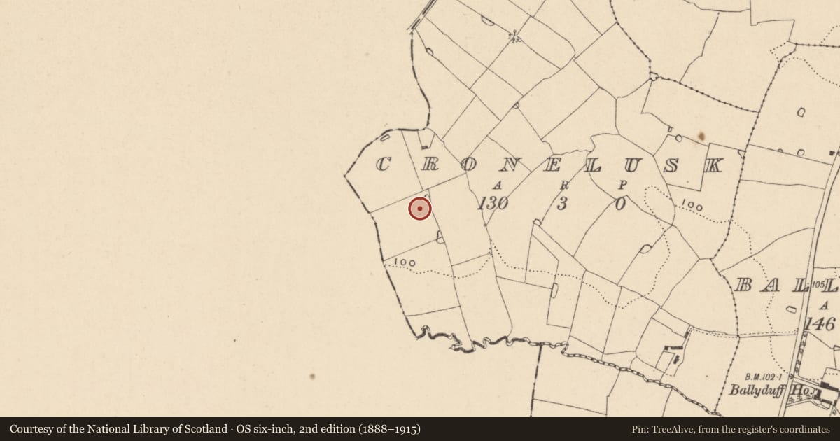 Ordnance Survey six-inch map, 2nd edition (1888–1915) covering the location of Mound, Cronelusk, County Wicklow, with a pin at the register's coordinates