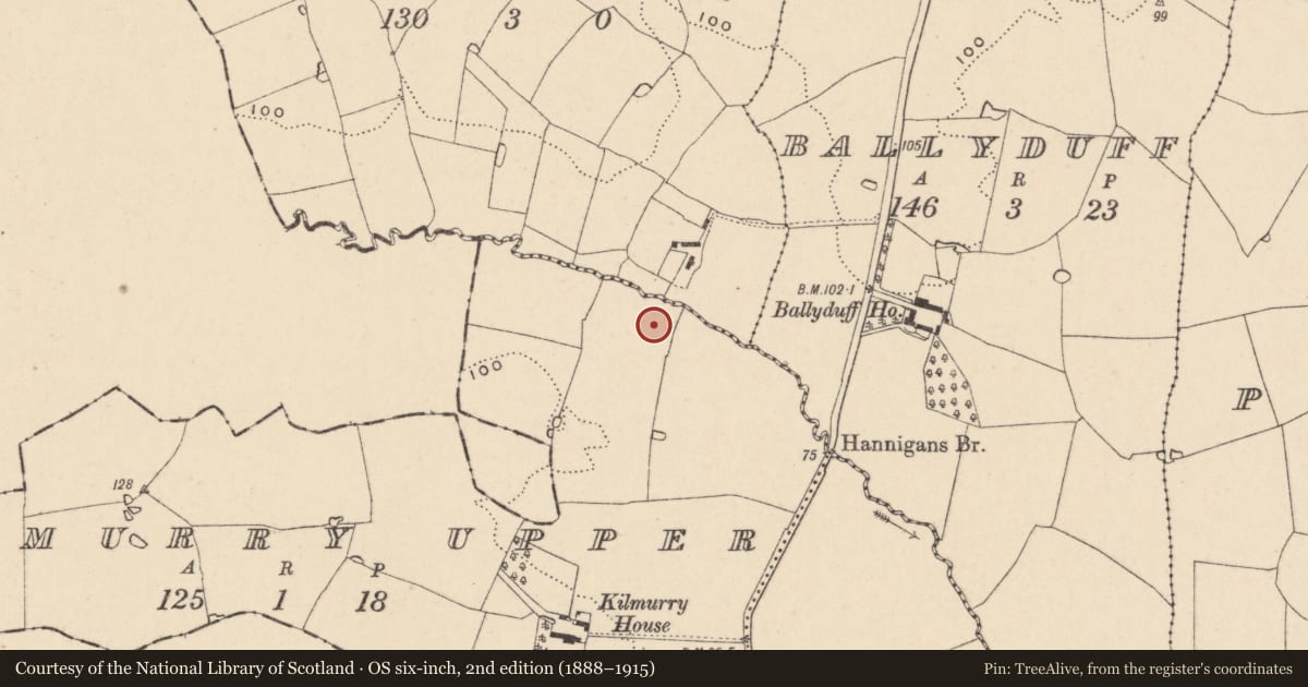 Ordnance Survey six-inch map, 2nd edition (1888–1915) covering the location of Moated site, Kilmurry Upper, County Wicklow, with a pin at the register's coordinates