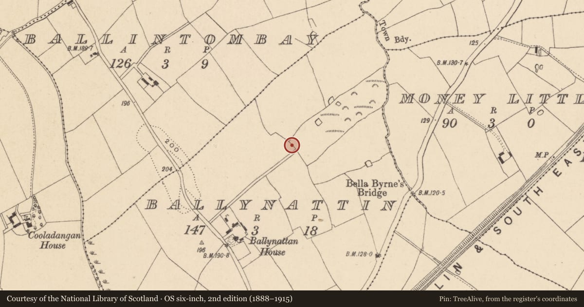 Ordnance Survey six-inch map, 2nd edition (1888–1915) covering the location of Enclosure, Ballynattin, County Wicklow, with a pin at the register's coordinates