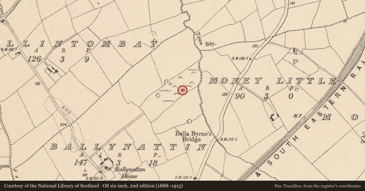 Ordnance Survey six-inch map, 2nd edition (1888–1915) covering the location of Burnt mound, Ballynattin, County Wicklow, with a pin at the register's coordinates