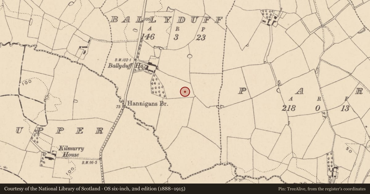 Ordnance Survey six-inch map, 2nd edition (1888–1915) covering the location of Ringfort - unclassified, Ballyduff, County Wicklow, with a pin at the register's coordinates
