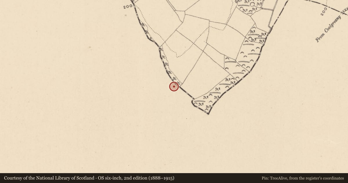 Ordnance Survey six-inch map, 2nd edition (1888–1915) covering the location of Enclosure, Johnstown Lower, County Wicklow, with a pin at the register's coordinates
