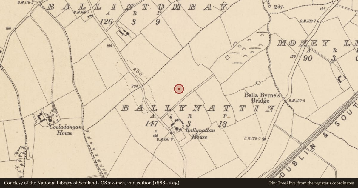 Ordnance Survey six-inch map, 2nd edition (1888–1915) covering the location of Excavation - miscellaneous, Ballynattin, County Wicklow, with a pin at the register's coordinates