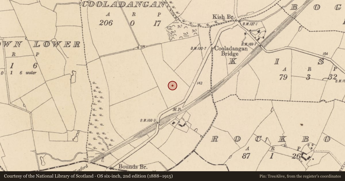 Ordnance Survey six-inch map, 2nd edition (1888–1915) covering the location of Excavation - miscellaneous, Cooladangan, County Wicklow, with a pin at the register's coordinates