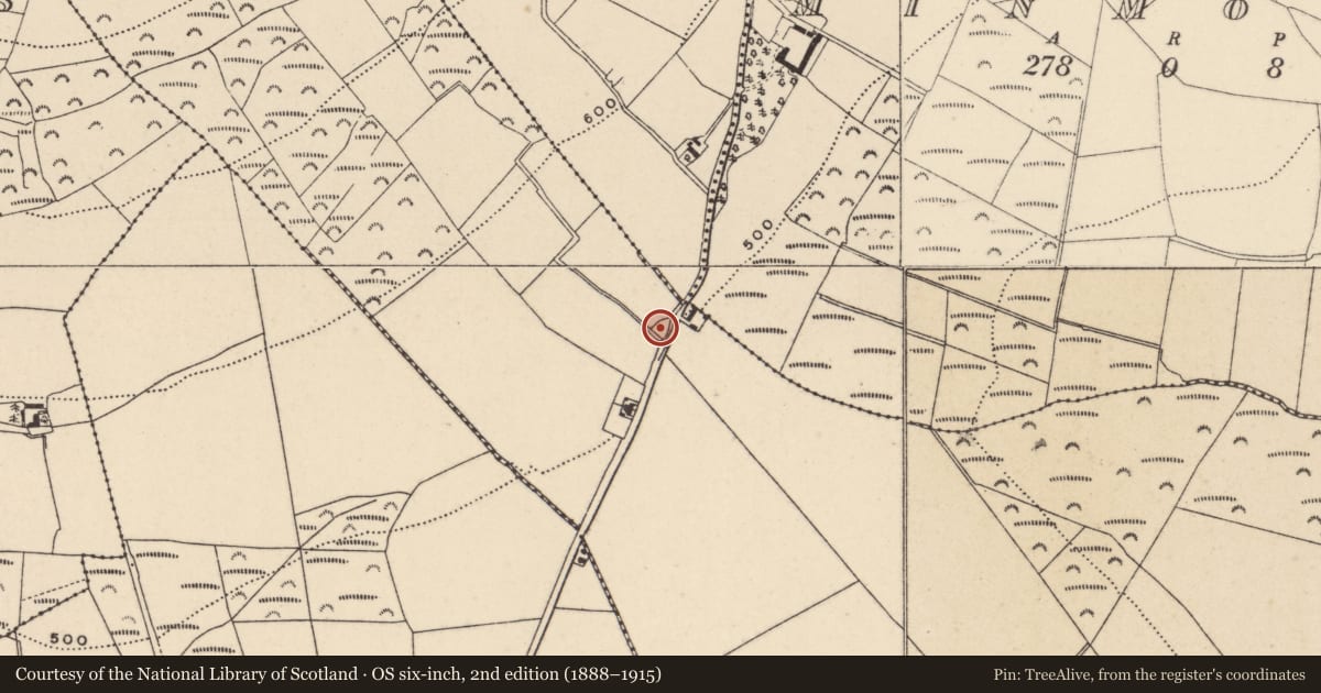 Ordnance Survey six-inch map, 2nd edition (1888–1915) covering the location of Burial ground, Balisland, County Wicklow, with a pin at the register's coordinates