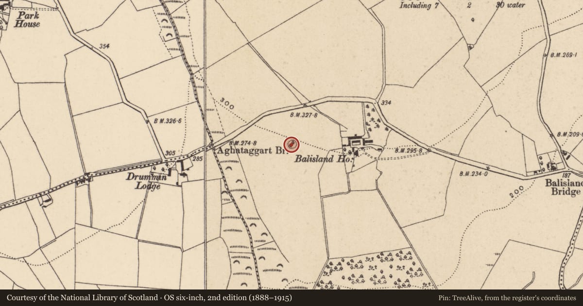 Ordnance Survey six-inch map, 2nd edition (1888–1915) covering the location of Ringfort - rath, Balisland, County Wicklow, with a pin at the register's coordinates