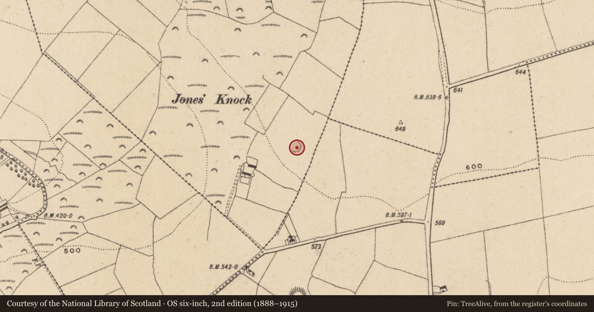Ordnance Survey six-inch map, 2nd edition (1888–1915) covering the location of Enclosure, Coolattin, County Wicklow, with a pin at the register's coordinates
