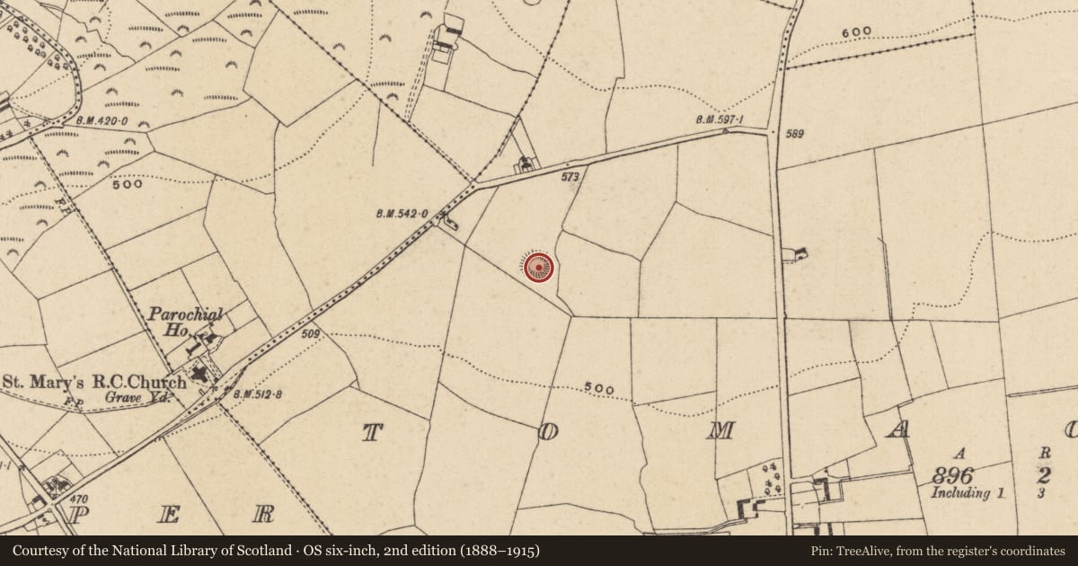 Ordnance Survey six-inch map, 2nd edition (1888–1915) covering the location of Ringfort - rath, Tomacork, County Wicklow, with a pin at the register's coordinates